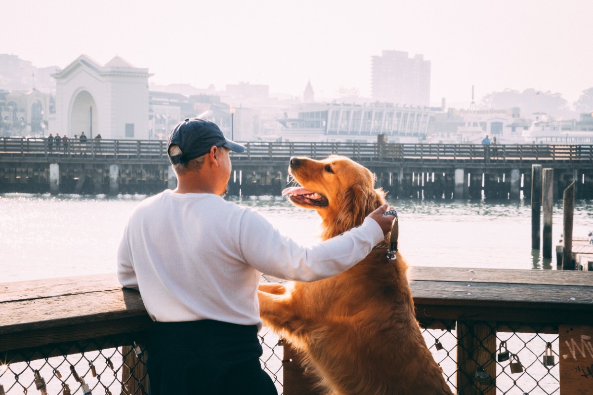 Οι πιο φιλικές προς τους σκύλους πόλεις στον κόσμο