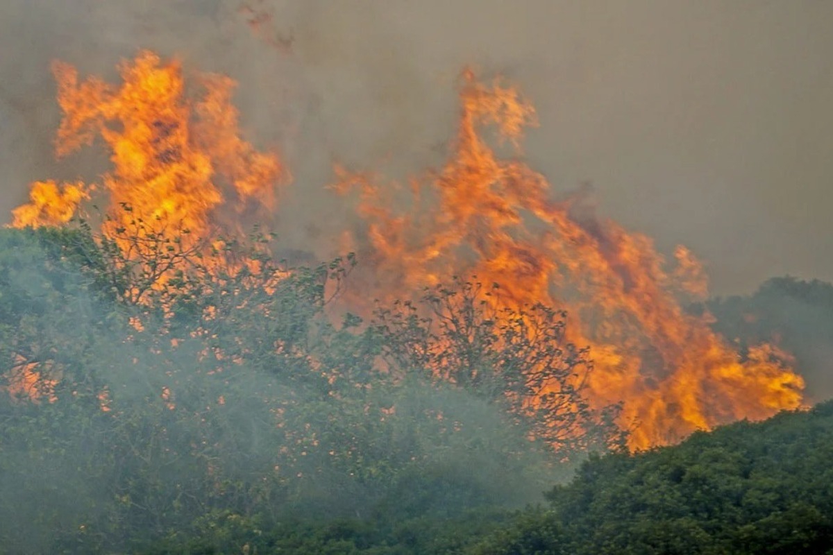 Φωτιά στη Ρόδο: Μήνυμα από το 112 για εκκένωση στο Βατί