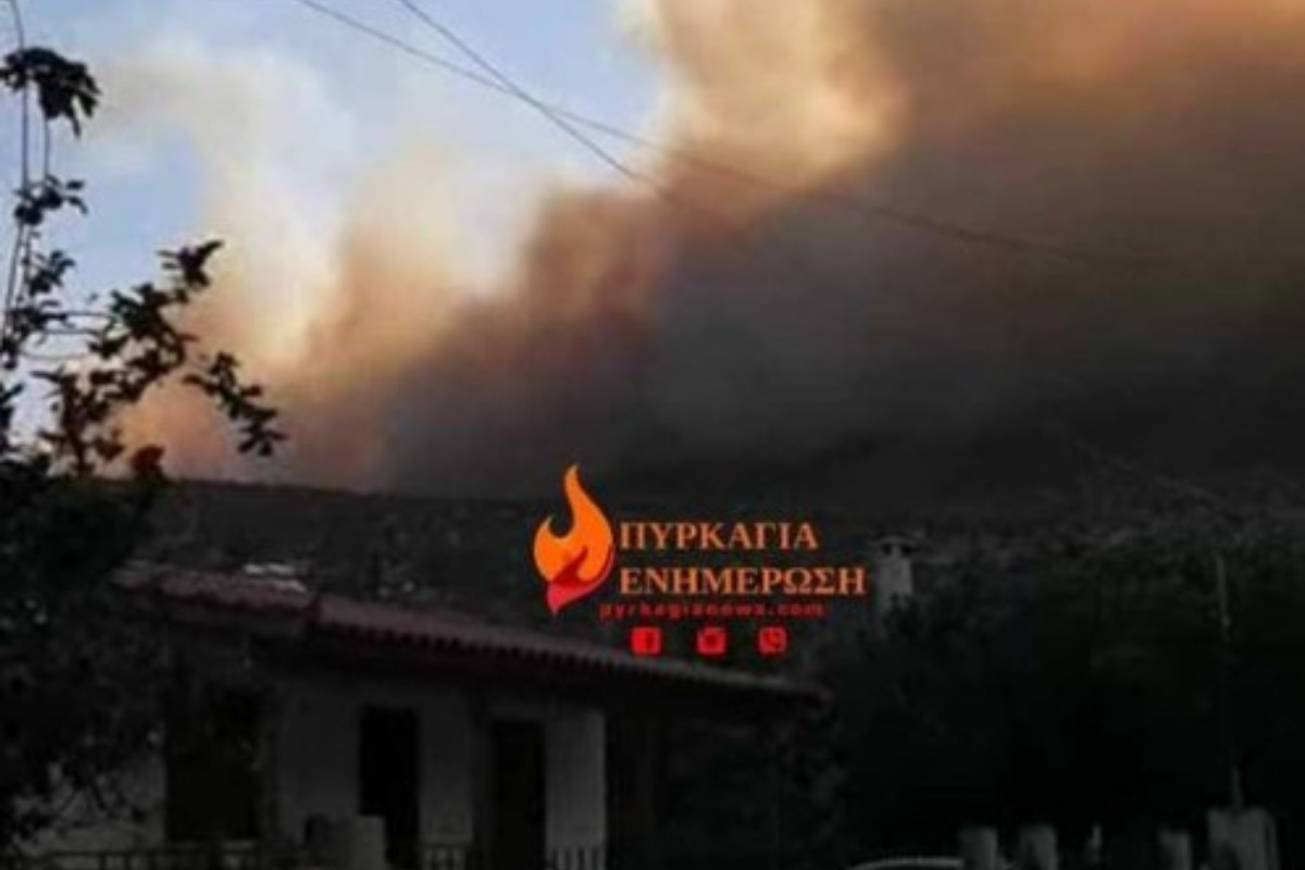 Βοιωτία: Μήνυμα από το 112 για φωτιά στον Πρόδρομο ‑ «Παραμείνετε σε ετοιμότητα»