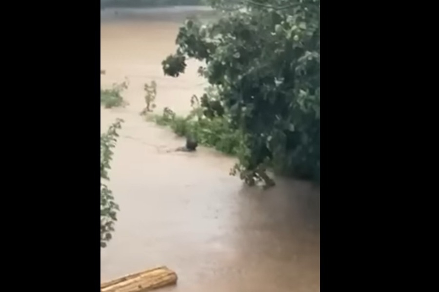 Βίντεο με τον δήμαρχο Σκιάθου να βουτάει σε χείμαρρο για να σώσει την αδερφή του