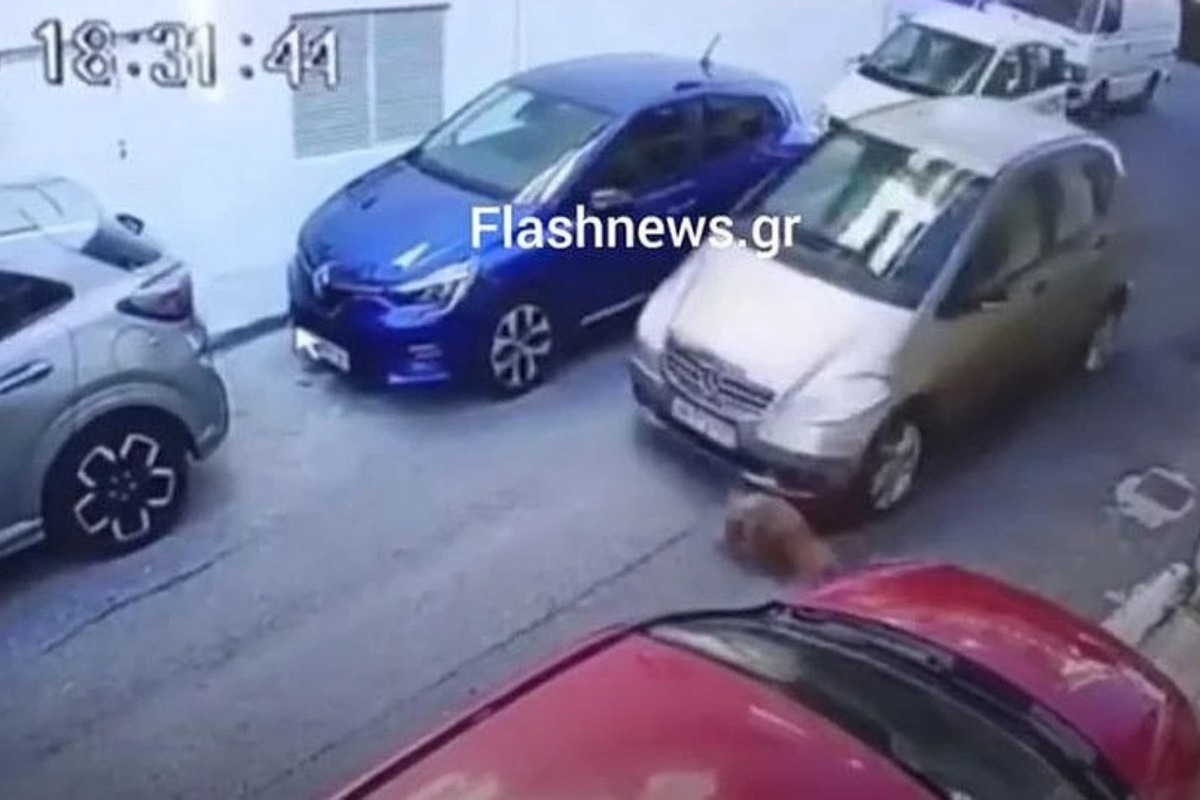 Φρίκη με βίντεο ‑ Αυτοκίνητο πατάει εν ψυχρώ σκύλο στο Ηράκλειο