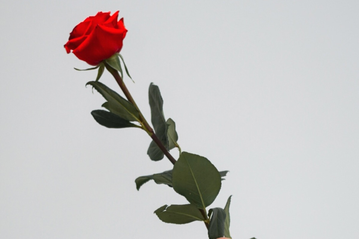 Αυτά τα μυστικά θα αυξήσουν την έλξη των άλλων προς εσένα