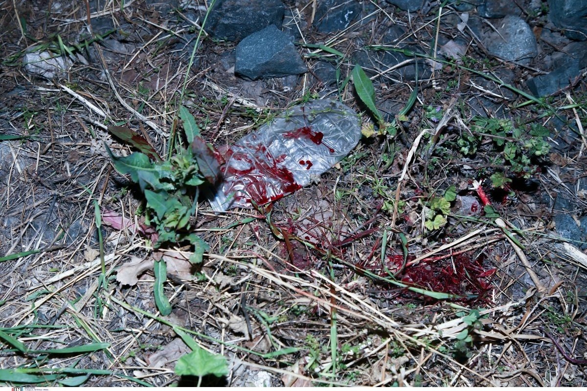 Ατύχημα στον Προαστιακό: Διασωληνωμένος ο 17χρονος ‑ Πώς βρέθηκε στις ράγες