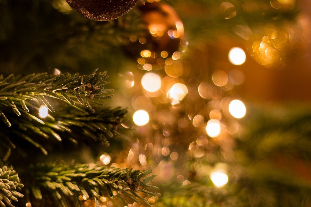 Σήμερα έμαθα: Πόσα χριστουγεννιάτικα δέντρα πωλούνται κάθε χρόνο;