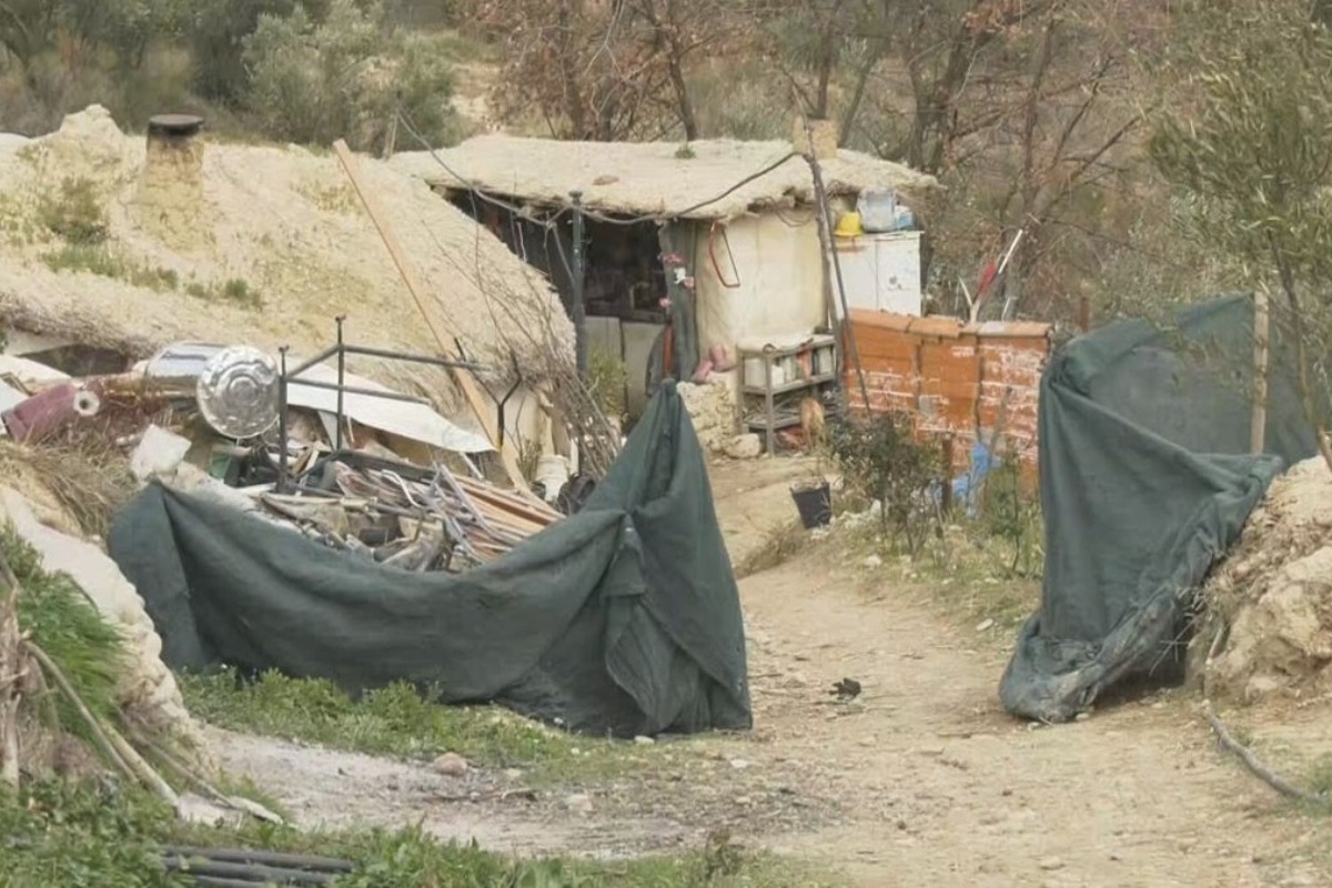 Αποκαλύψεις για παλαιοχριστιανό: Σκυλί της Δίωξης Nαρκωτικών στο λαγούμι ‑ Χασισοφυτεία δίπλα στο οικόπεδό του