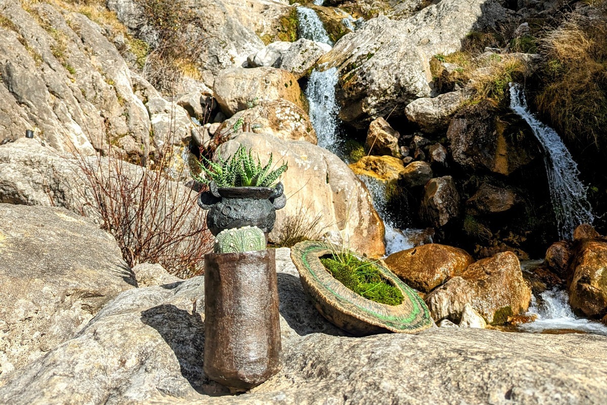 «Neraw»: Το project που θα σε κάνει να αγαπήσεις τα φυτά και την κεραμική