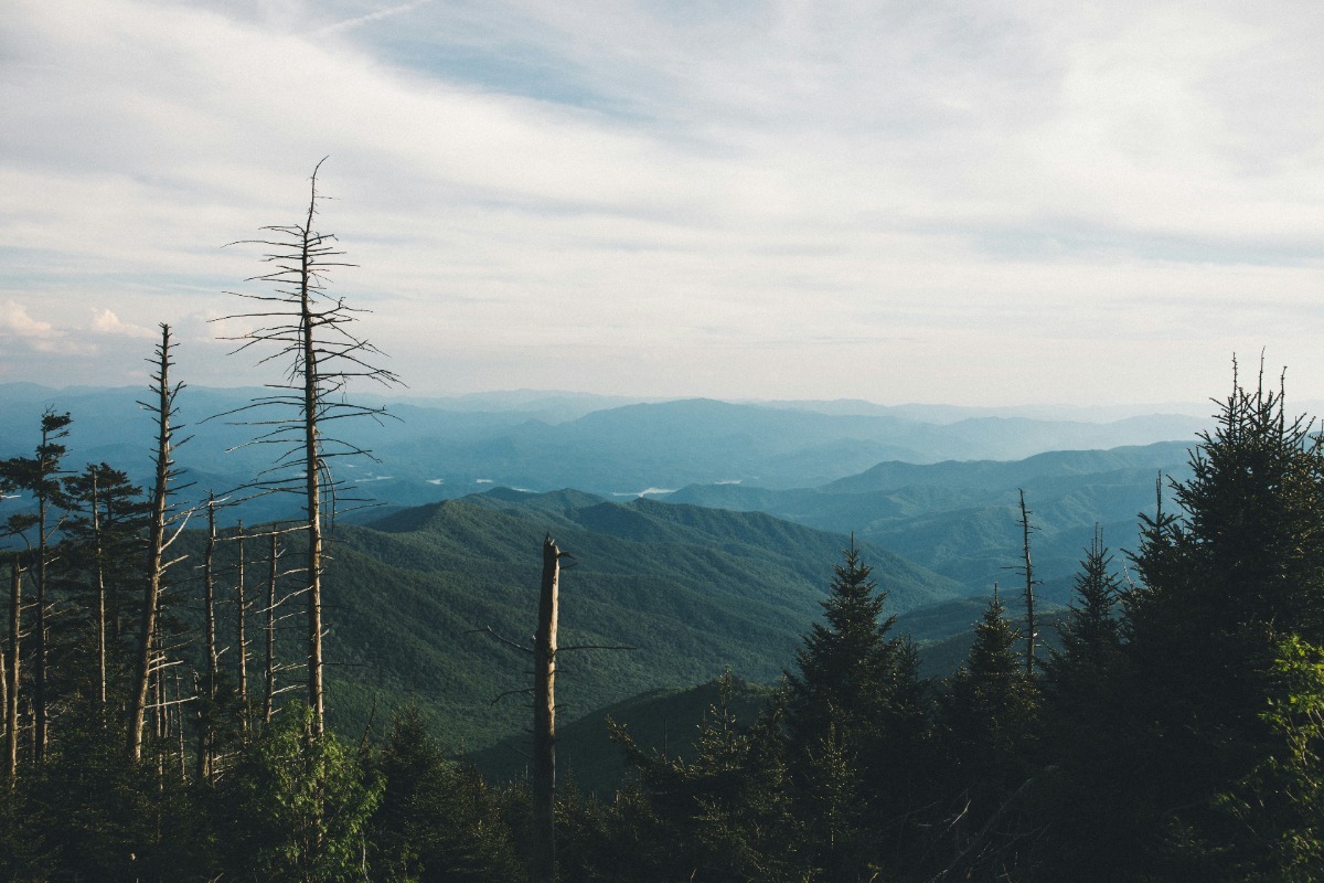 Τι ανατριχιαστικό συμβαίνει στα Απαλάχια όρη και το Tiktok έχει πάρει φωτιά;;