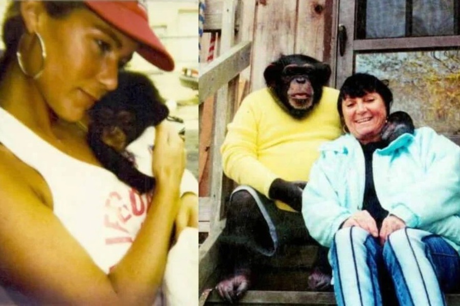 Η ιστορία της γυναίκας που μεγάλωσε σαν παιδί έναν χιμπατζή και η τραγωδία που ακολούθησε