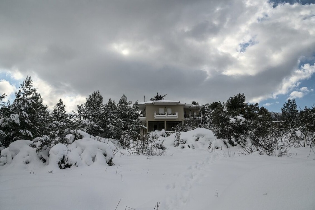 Διακοπή κυκλοφορίας στην Πάρνηθα λόγω χιονιά – Κλειστός ο δρόμος από το ύψος του τελεφερίκ