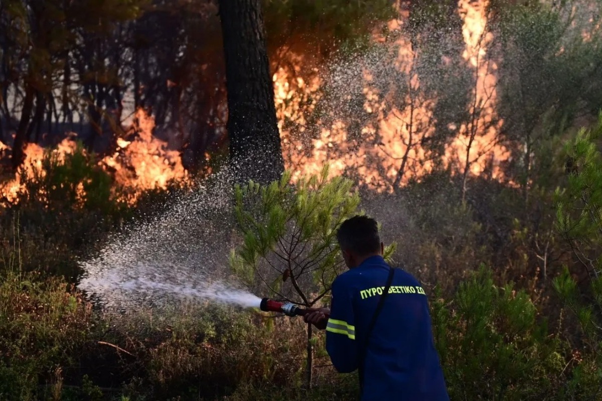 Μάχη σε δύο μέτωπα στη φωτιά στο Σοφικό ‑ Καίγεται πευκοδάσος