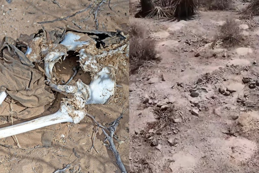 «Πλημμύρισε» λείψανα η έρημος της Νεβάδα ‑ Πάνω από 300 ανθρώπινα απομεινάρια σκορπισμένα στην άμμο