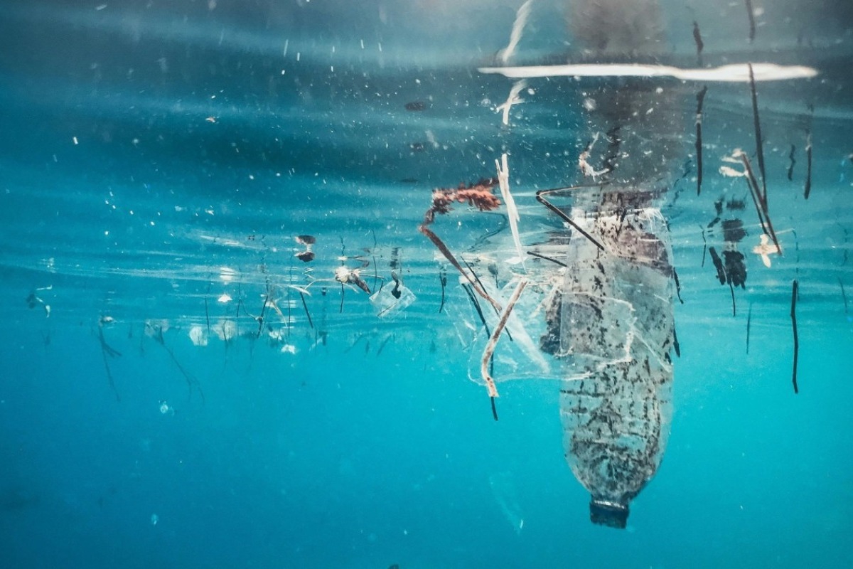 Ρύπανση: Ελάχιστο πλαστικό αρκεί για να σκοτώσει θαλάσσια ζώα ‑ Τρομακτικά τα ευρήματα νέας μελέτης