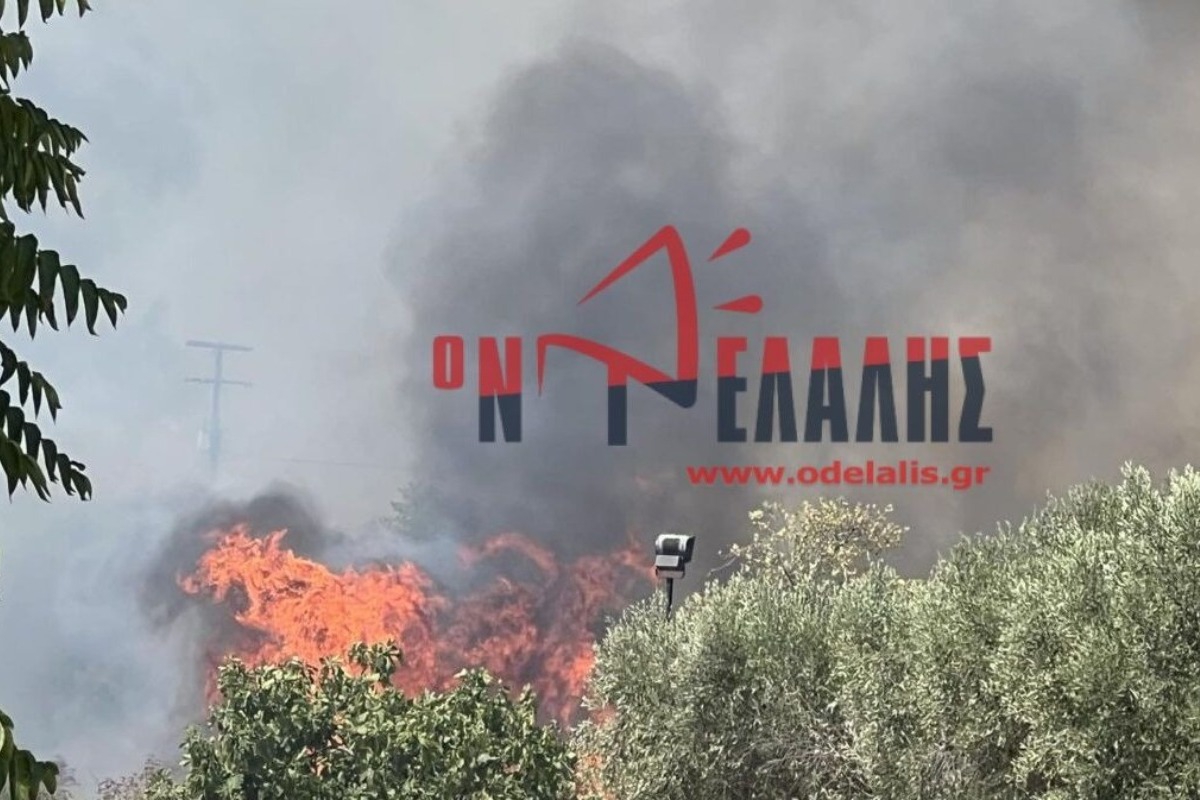 Προσαγωγή 50χρονου για τη φωτιά στην Πλάκα Λιτοχώρου