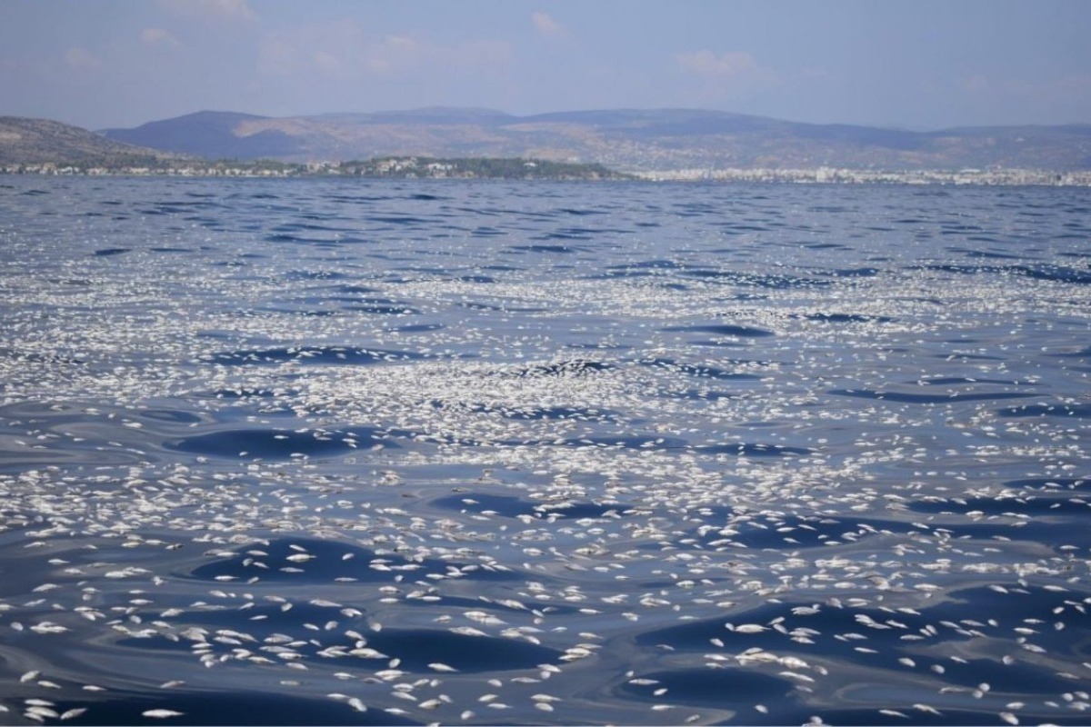 Σε κατάσταση έκτακτης ανάγκης για ένα μήνα ο Βόλος