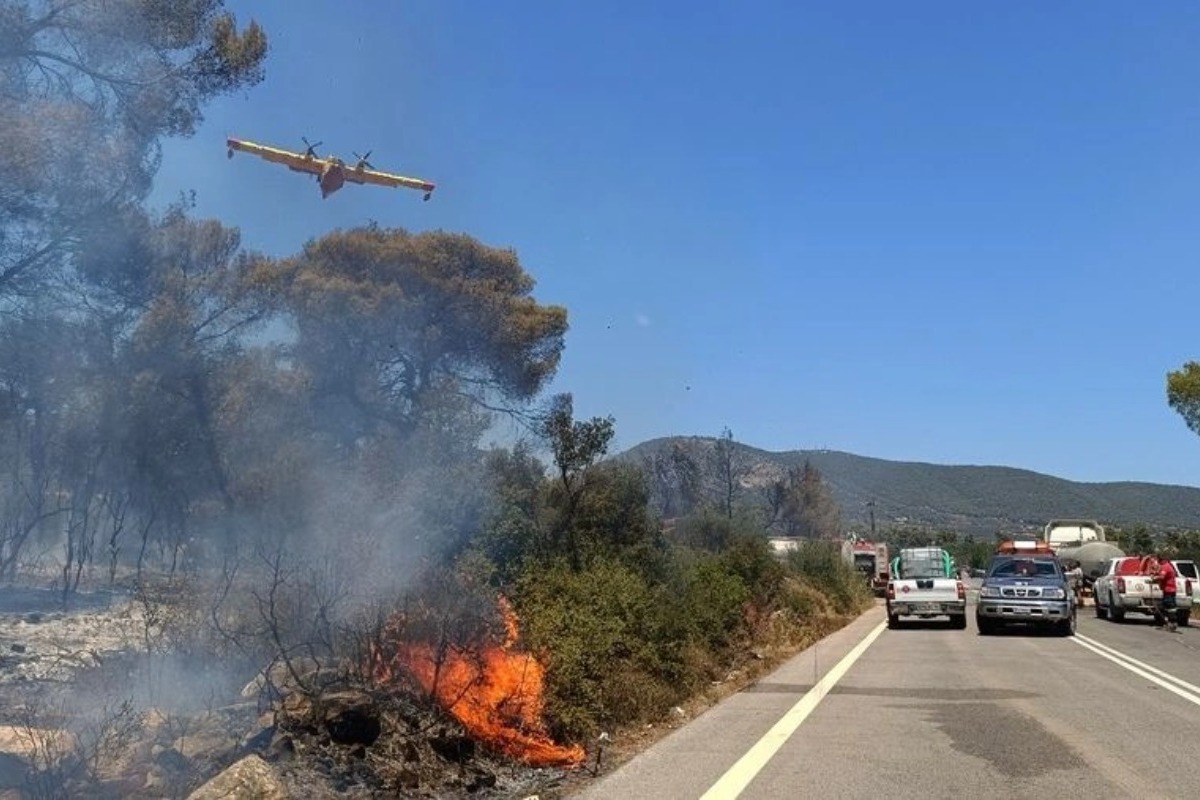 Φωτιά στην Κερατέα: Καίει κοντά στη Λεωφόρο Λαυρίου ‑ Πού υπάρχει διακοπή κυκλοφορίας