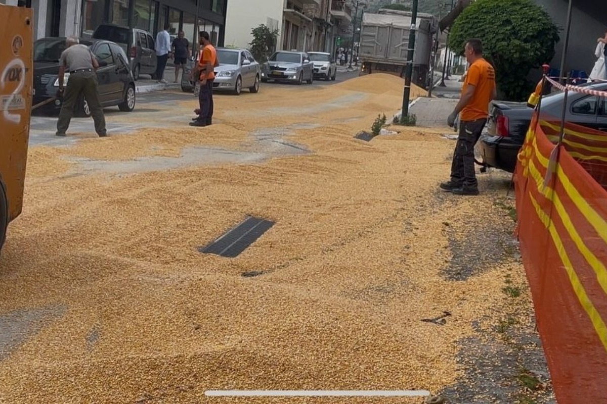 Απίστευτες εικόνες στην Αμφιλοχία: Ο κεντρικός δρόμος της πόλης «πλημμύρισε» από… καλαμπόκι