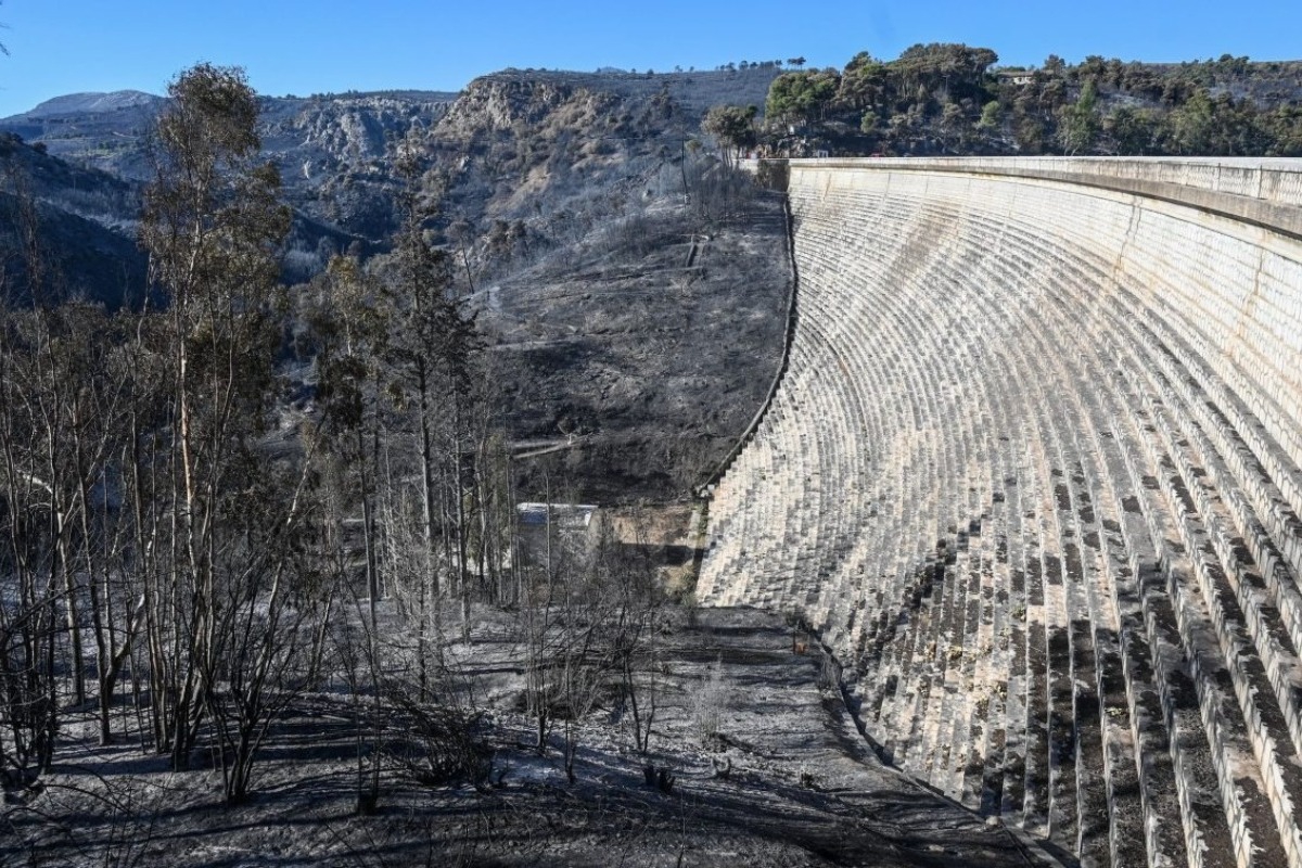 Δυσοίωνες προβλέψεις για φυσική αναγέννηση των καμένων στη βορειανατολική Αττική