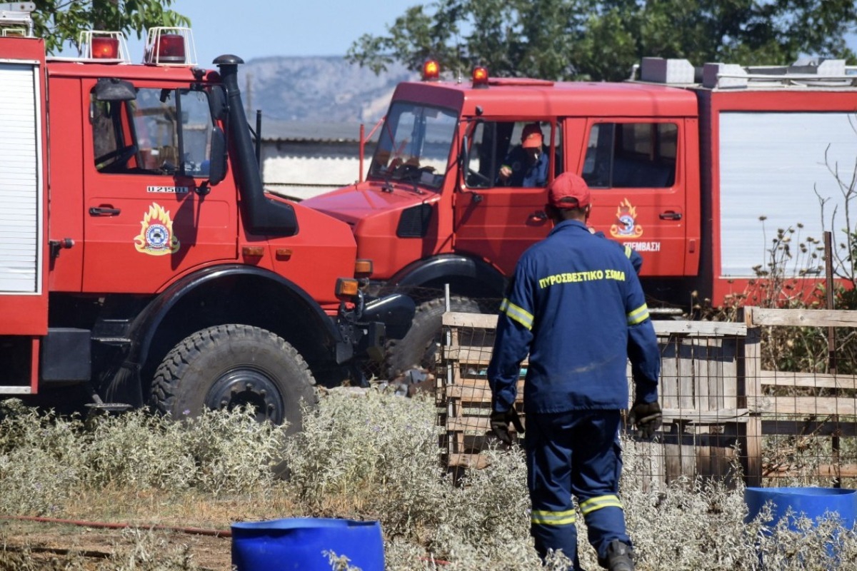 Φωτιά στο Κουνούπι Αργολίδας: Στη «μάχη» 44 πυροσβέστες, έξι εναέρια ‑ «Ήχησε» το 112 για ετοιμότητα
