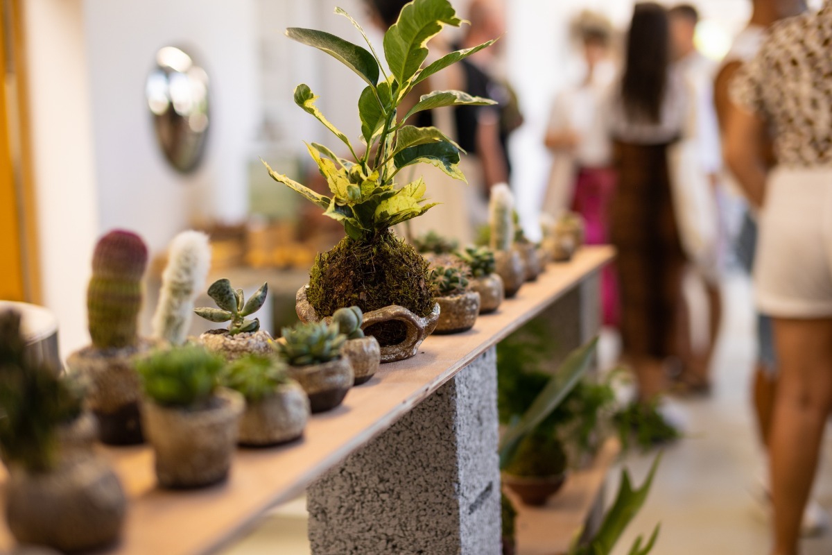 Neraw exhibition at Arch: Planted Ceramics, Living Landscapes