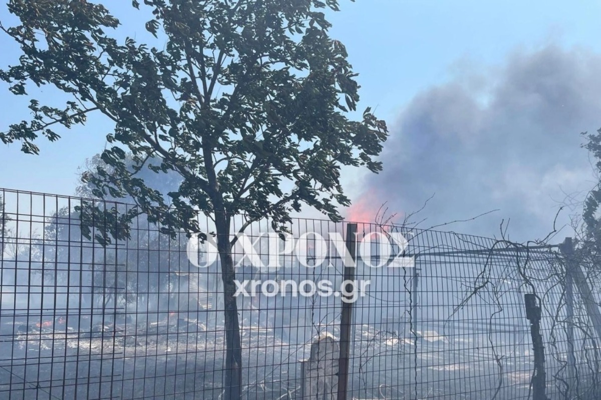 Φωτιά στη Ροδόπη: Έχουν καεί δύο σπίτια, λέει ο δήμαρχος Μαρωνείας‑Σαπών