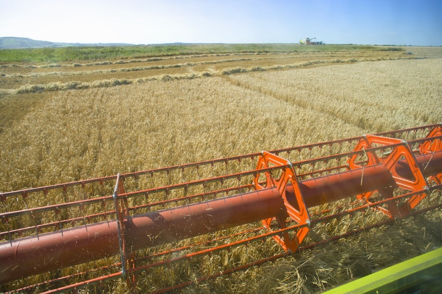 Eurostat: Βουλιάζει η παραγωγικότητα του αγροτικού τομέα στην Ελλάδα – Αυξάνεται στην ΕΕ