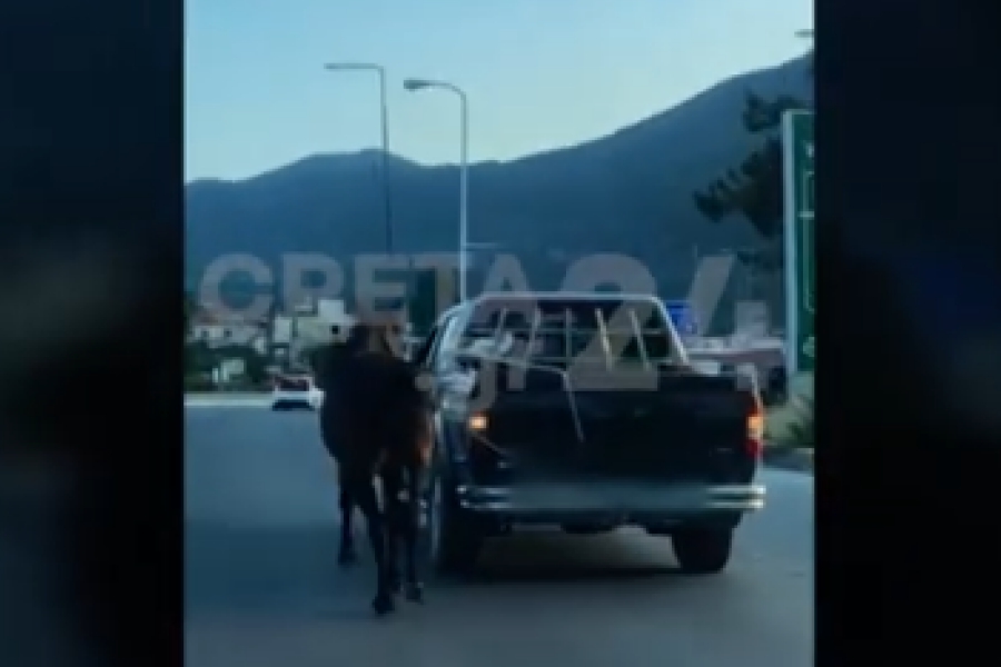 Hράκλειο: Οδηγός έδεσε άλογο με σχοινί και το έσερνε με αγροτικό