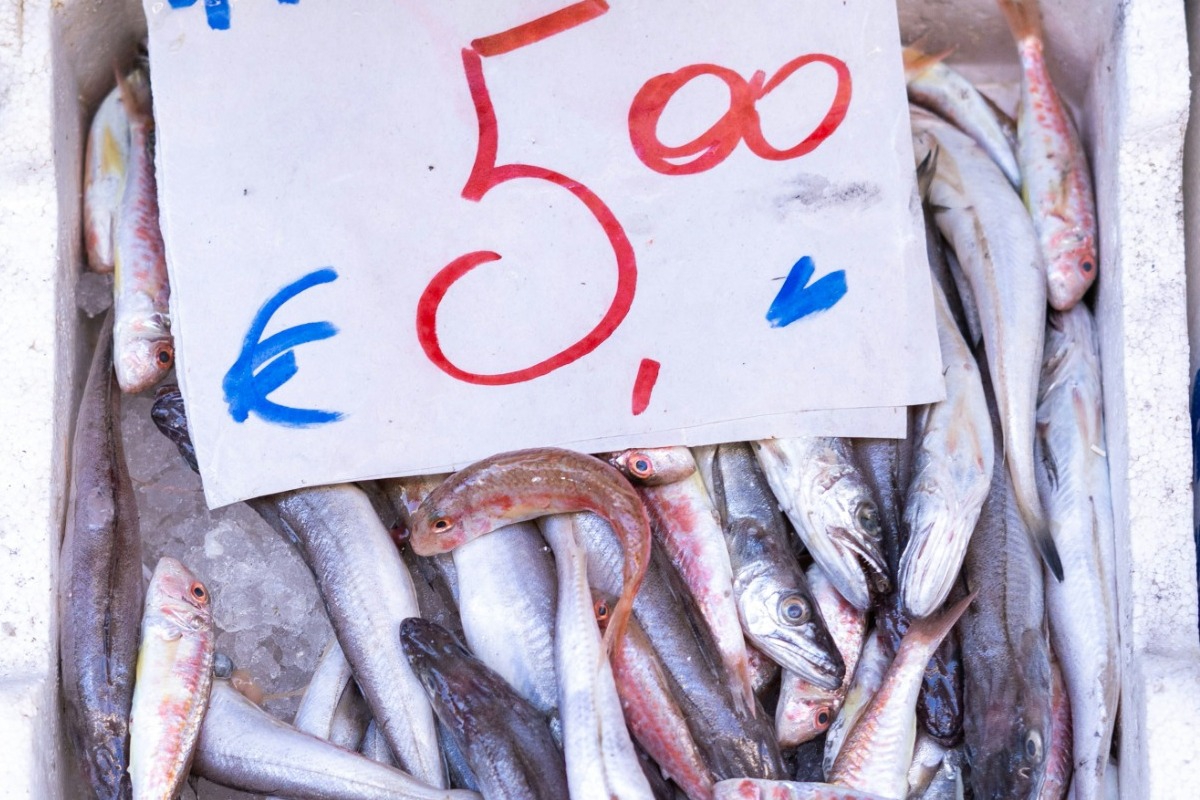 Ποια ψάρια σώζουν την καρδιά σου – Δες όσα κάνουν καλό και ποια κρύβουν κινδύνους