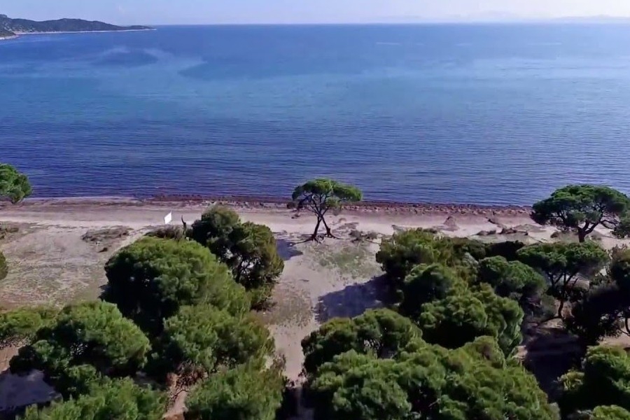 Εισαγγελική παρέμβαση για τα αυθαίρετα στο Πάρκο Σχινιά