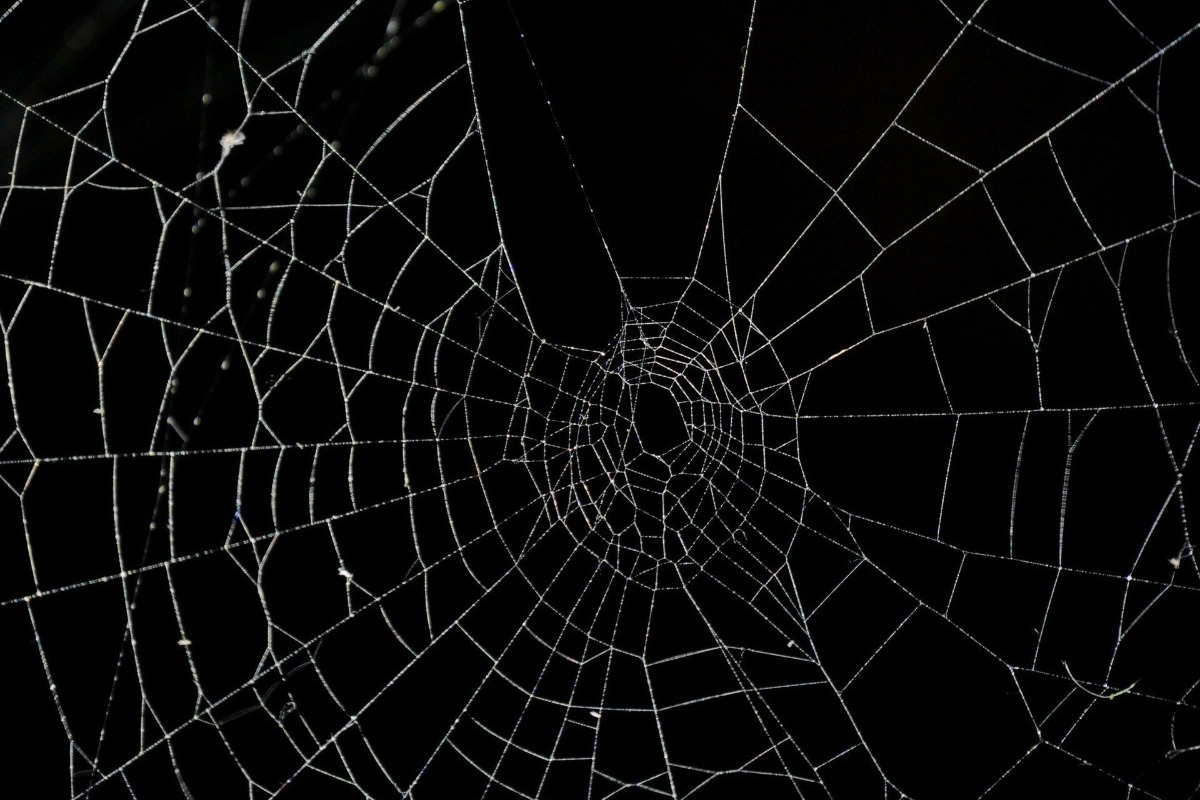 Στην Ελλάδα ο μεγαλύτερος ιστός αράχνης στον κόσμο