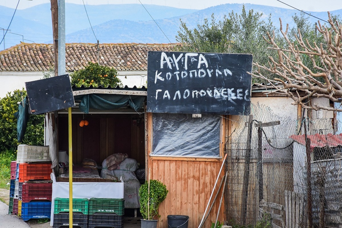 Ελεύθερη η 72χρονη που κατηγορείται για τον θάνατο 50χρονου ληστή σε χωριό του Ναυπλίου