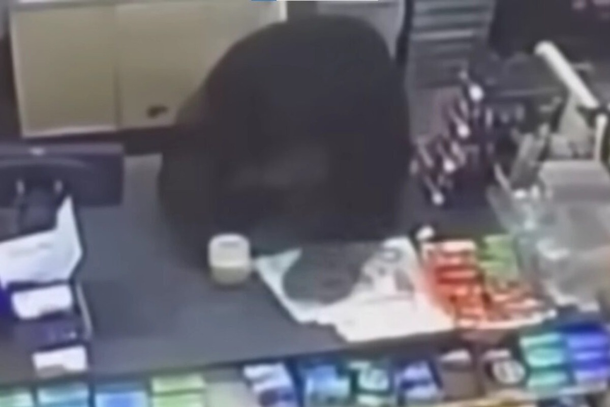 Αρκούδα εισέβαλε σε κατάστημα και κυνήγησε 11χρονο στις ΗΠΑ