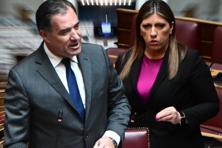 Πυρά Γεωργιάδη προς την Κωνσταντοπούλου: Τη σιχάθηκα όταν την άκουσα να βρίζει τον μηχανοδηγό