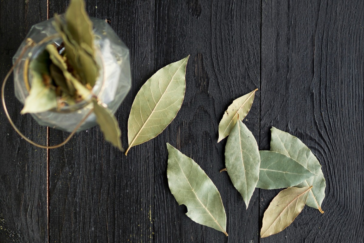 Τι θα γίνει αν βάλεις λίγα φύλλα δάφνης στα συρτάρια της κουζίνας σου;
