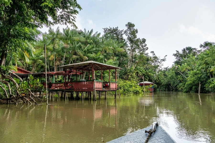 Τραγωδία στη Βραζιλία: Κοριτσάκι 2 χρονών έπεσε σε λίμνη και το κατασπάραξαν τα πιράνχας