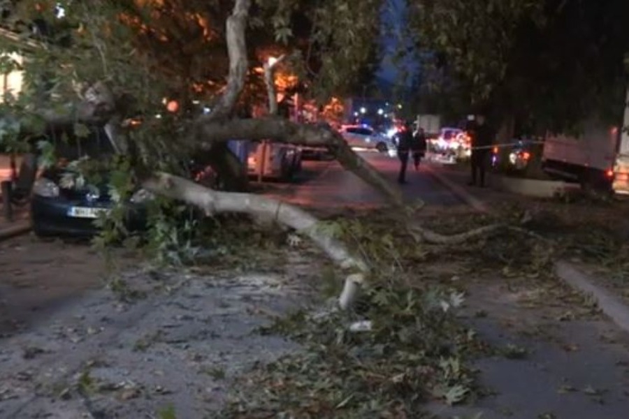 Θεσσαλονίκη: Δέντρο έπεσε και καταπλάκωσε αυτοκίνητο στην Τούμπα