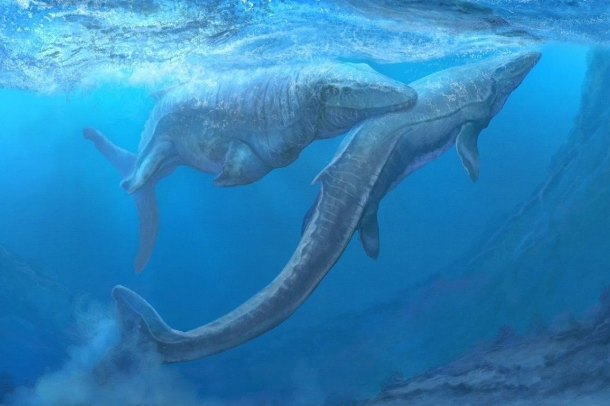 Ανατριχίλα στον Μισισιπή: Βρέθηκαν τα απομεινάρια ενός αληθινού προϊστορικού θηρίου!