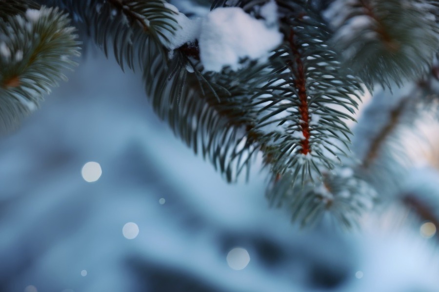 Η πρώτη εκτίμηση Τσατραφύλλια για τον καιρό των Χριστουγέννων – Πότε θα έχουμε οριστική εικόνα