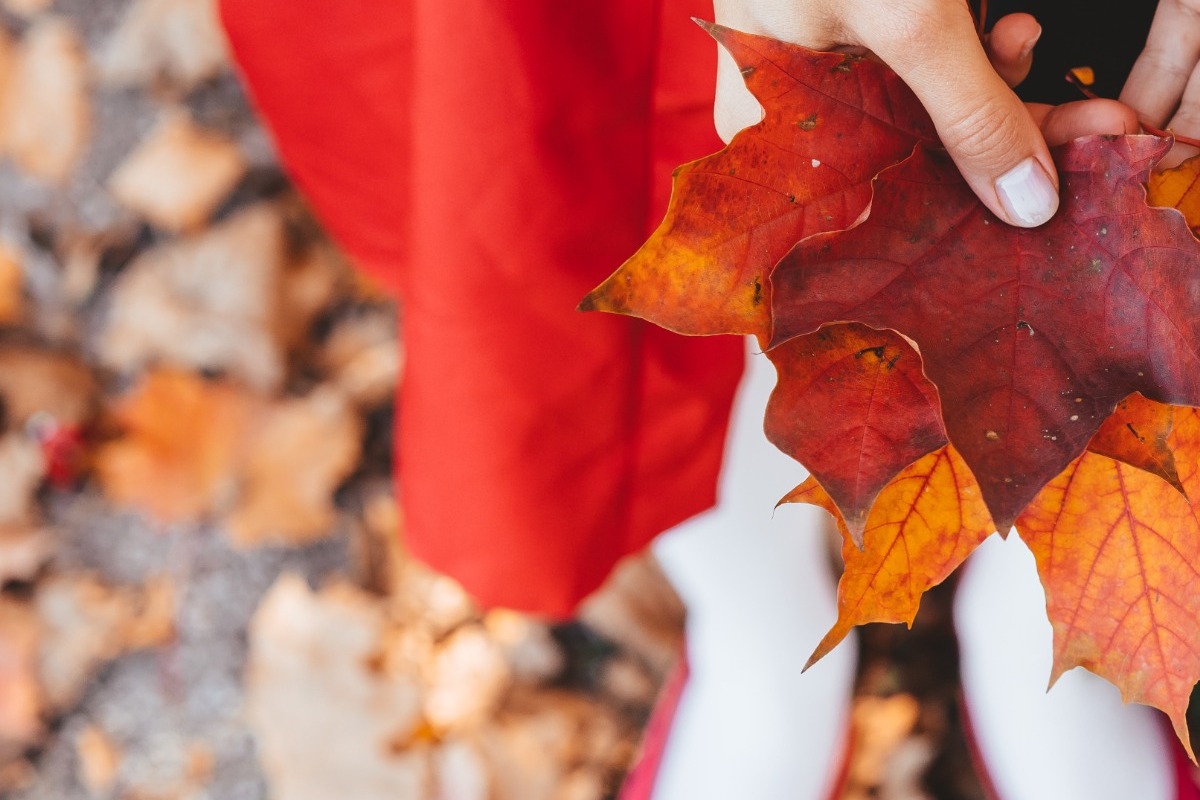 Τα ζώδια σήμερα 17/11: Αφησε κάτι να κυλήσει μόνο του