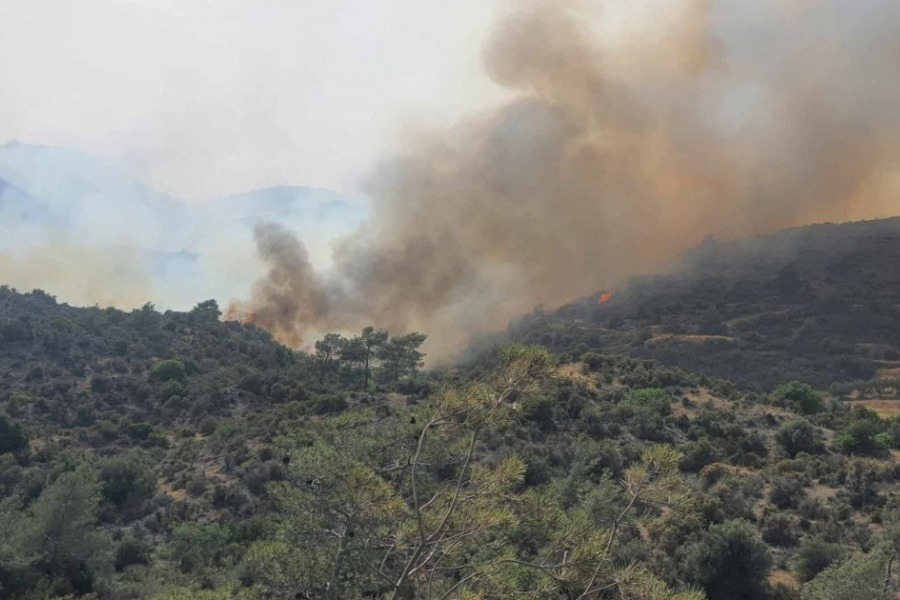 Τι λέει η Πυροσβεστική για τον λανθασμένο συναγερμό με το 112 και τη φωτιά που δεν υπήρξε στον Πρόδρομο Βοιωτίας