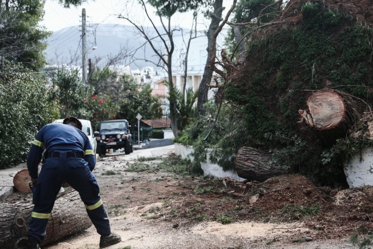 Παπάγου: Νεκρός δημοτικός υπάλληλος που καταπλακώθηκε από δέντρο