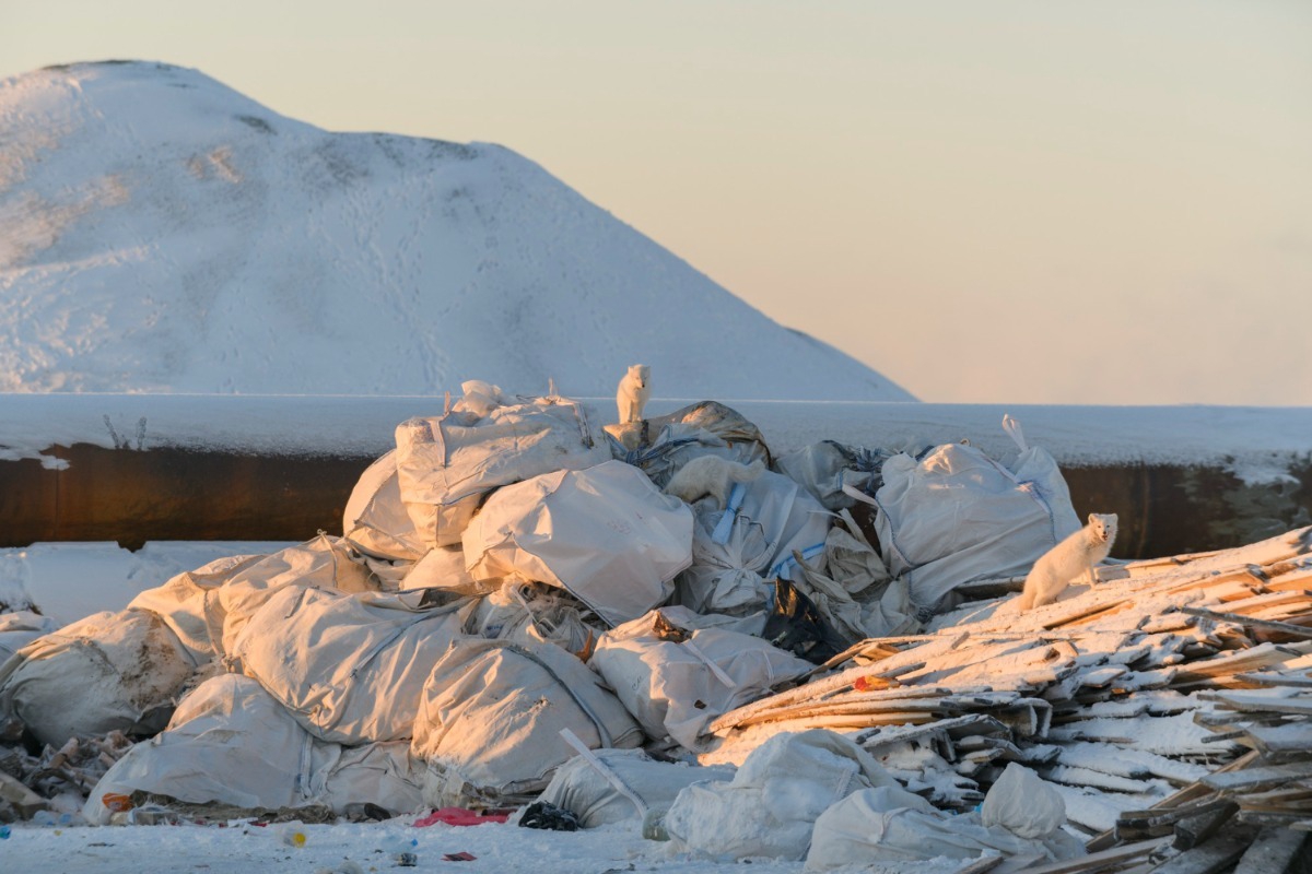 Μια χωματερή 50 τόνων πάνω από τα σύννεφα: Γιατί το Έβερεστ δεν κατάφερε ποτέ να «καθαρίσει»