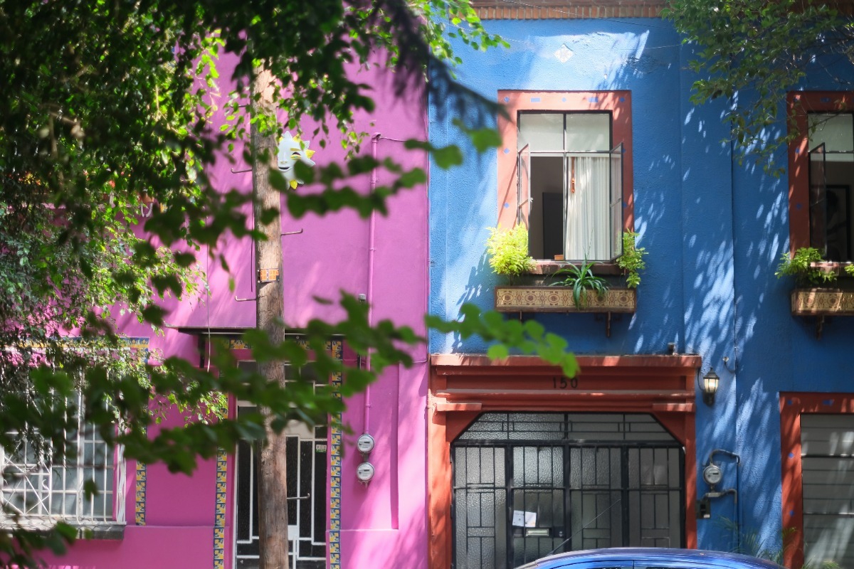 Παραδοσιακή τεχνική 500 ετών σώζει τα σπίτια του σήμερα ‑ με έναν κάκτο!