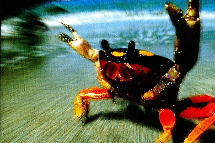 5+1 τραγούδια των Prodigy που γίνονται 30 ετών