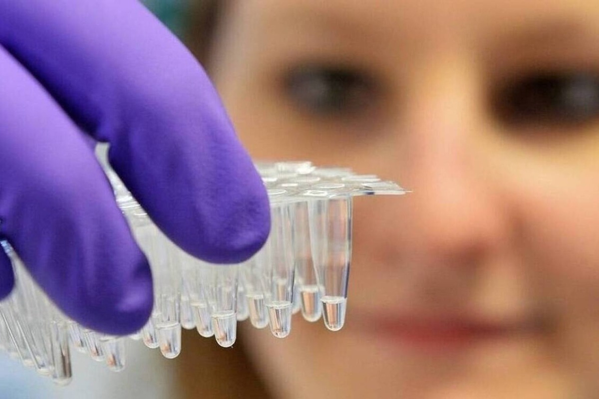 ΗΠΑ: Δεύτερος νεκρός από την γρίπη των πτηνών