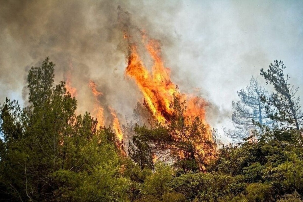 Μεγάλη φωτιά στο Πήλιο – Επιχειρούν αεροπλάνα και ελικόπτερο