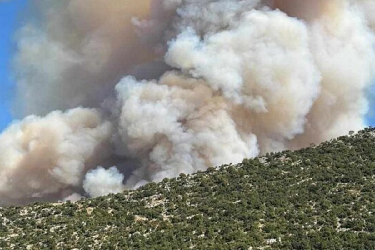Μεγάλη φωτιά στον Παλαμπά Θεσπρωτίας – Ήχησε το 112, κοντά στο χωριό οι φλόγες