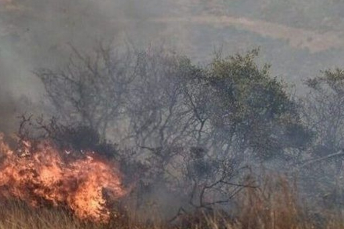 Μεγάλη φωτιά στον Μαραθώνα ‑ Ήχησε το 112 στο Ανω Σούλι