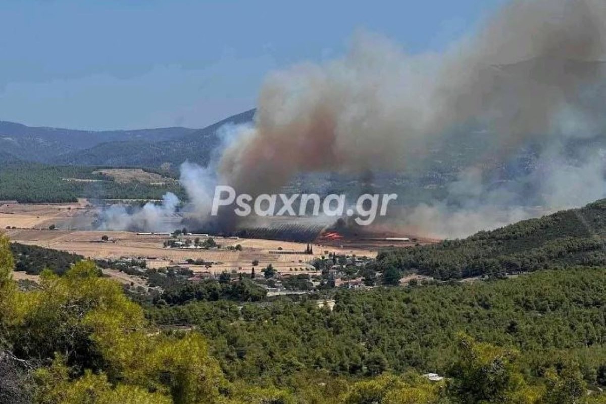 Εύβοια: Συνεχή μηνύματα του 112 για εκκενώσεις οικισμών – Ενισχύονται οι πυροσβεστικές δυνάμεις