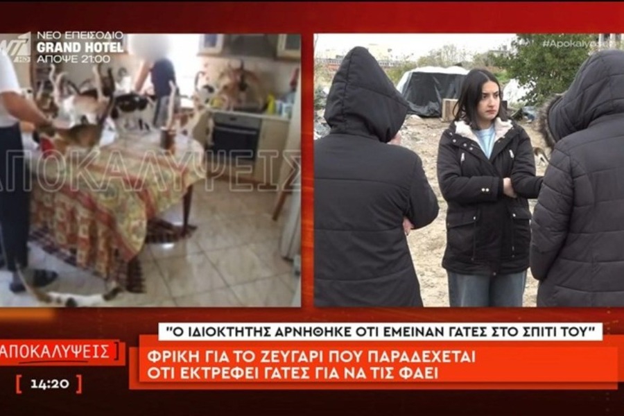 Φρίκη στον Εύοσμο: Ζευγάρι εξέτρεφε 51 γάτες για να τις φάει! – «Θα λυθεί το πρόβλημα της ασιτίας»