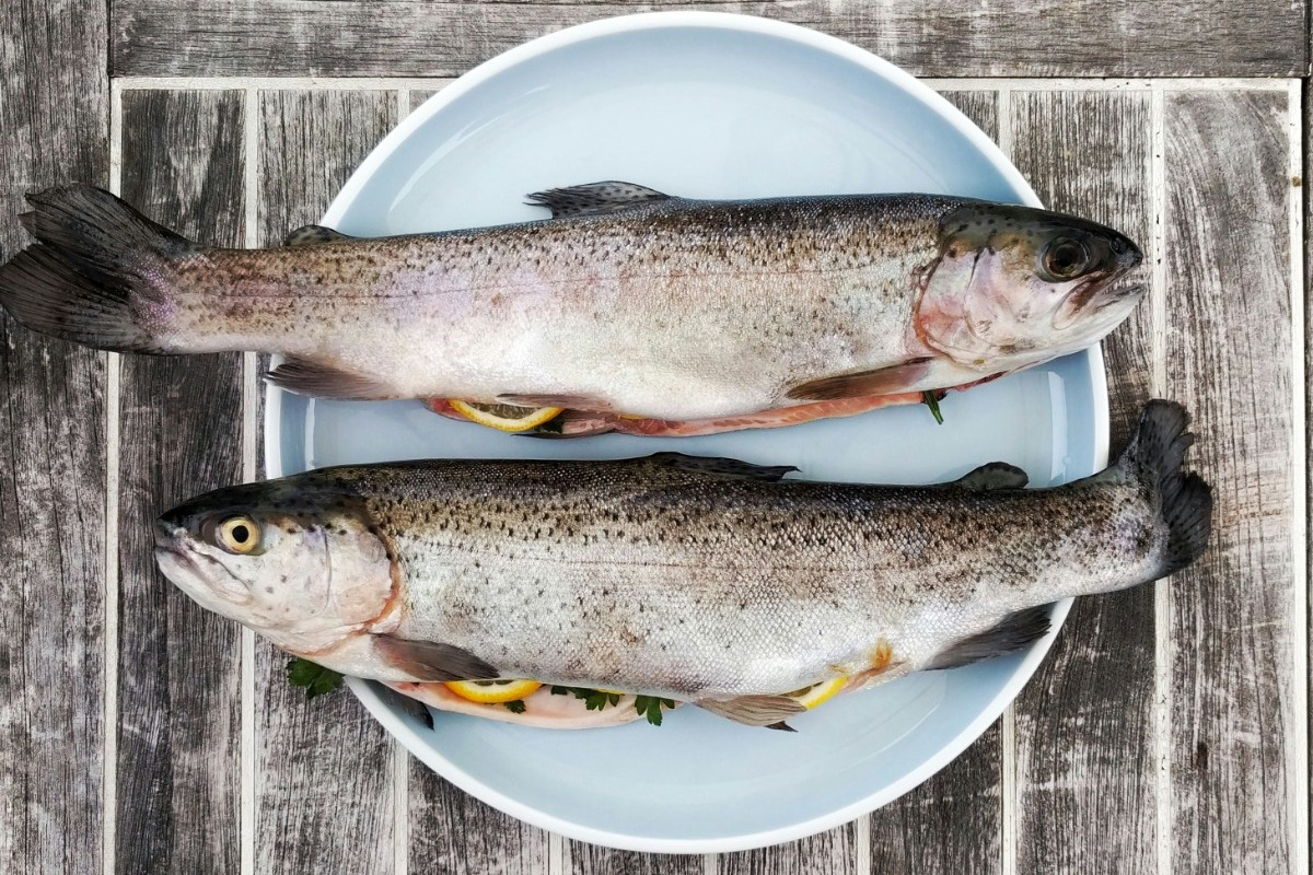 Οι διατροφολόγοι ορκίζονται σε αυτά τα 2 ψάρια – Εσύ τα βάζεις στο πιάτο σου;
